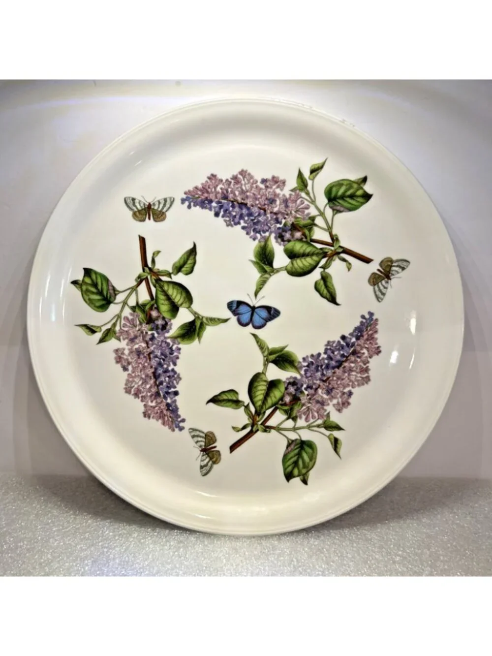 Portmeirion Fire & Ice Botanic Garden Serving Plate Platter 12